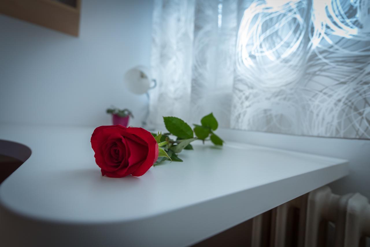 Apartment Vilea